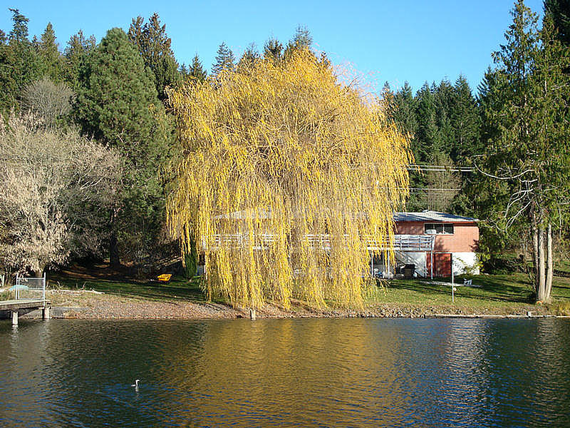 Wollochet Bay Real Estate dsc00208.jpg